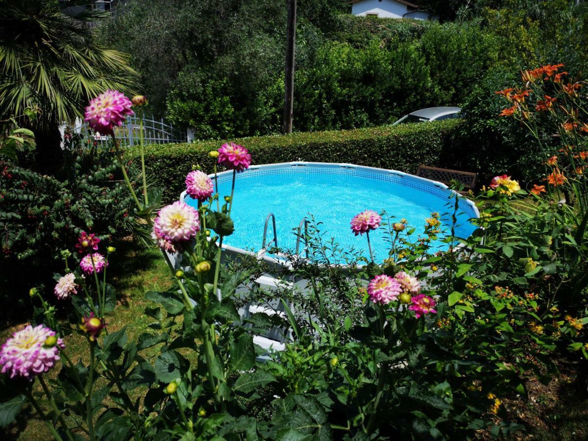 Villa Parte Di Casa Con Giardino E Piscina à Pietrasanta Extérieur photo